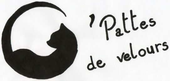 o pattes de velours o pattes de velours